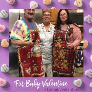 Meet your Posher, Holly